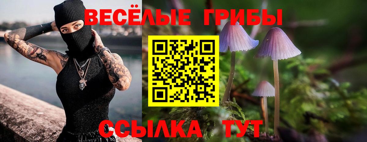Псилоцибиновые грибы GOLDEN TEACHER Сызрань